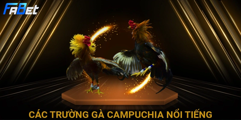 cac-truong-ga-campuchia-noi-tieng