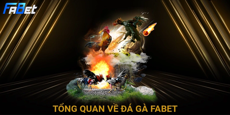 tong-quan-ve-da-ga-fabet