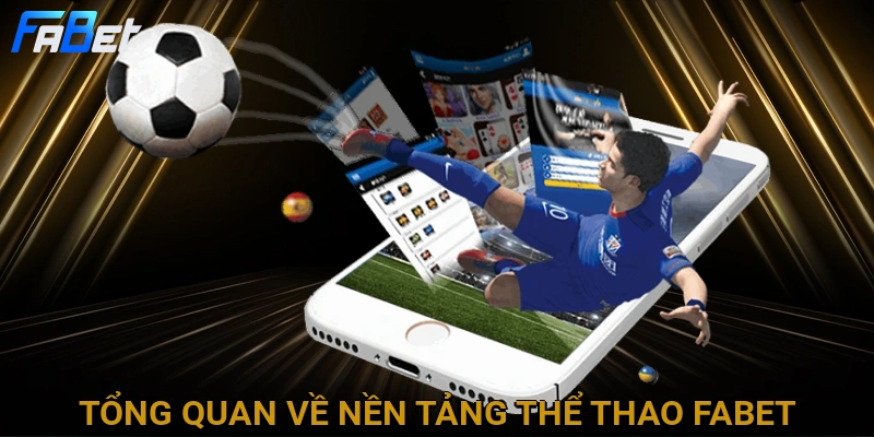 tong-quan-ve-nen-tang-the-thao-fabet