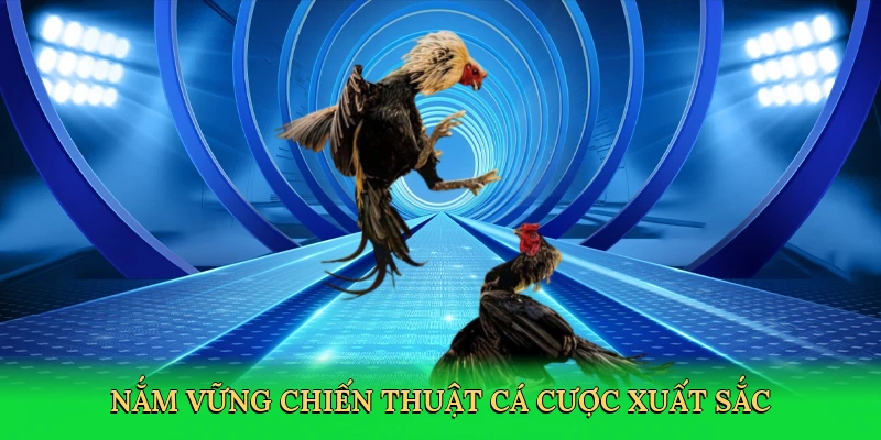nam-vung-chien-thuat-ca-cuoc-xuat-sac-4
