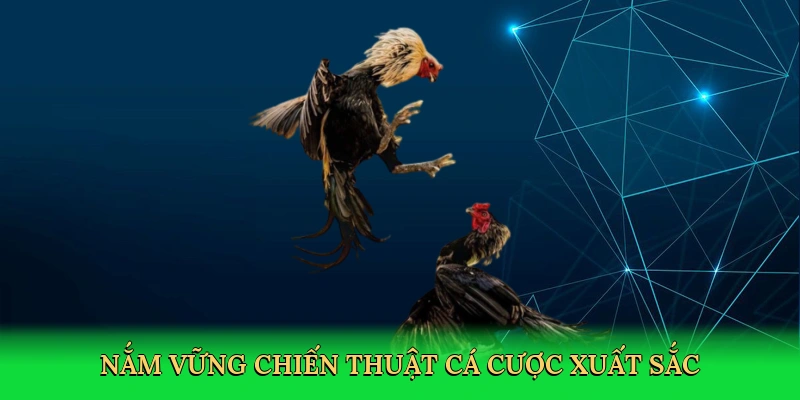 nam-vung-chien-thuat-ca-cuoc-xuat-sac-4