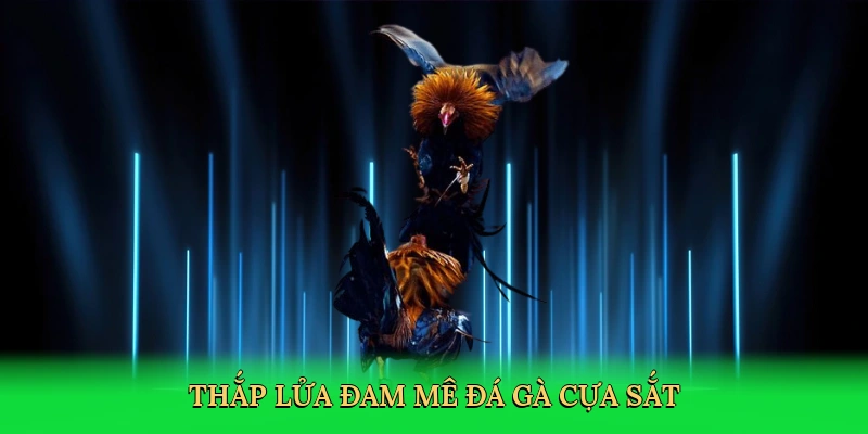 thap-lua-dam-me-da-ga-cua-sat-2