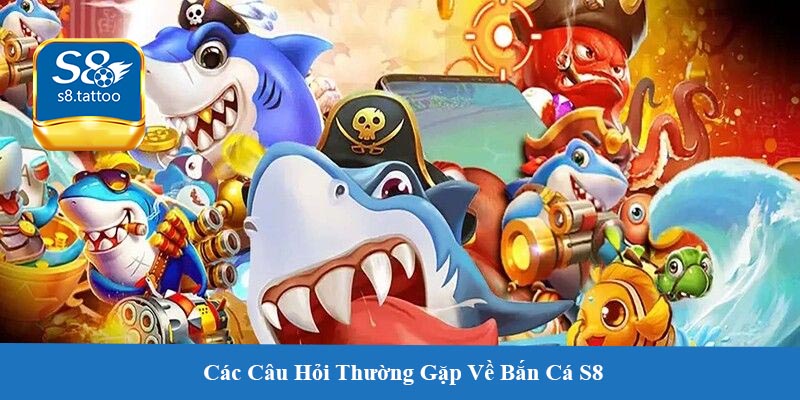 Các Câu Hỏi Thường Gặp Về Bắn Cá S8