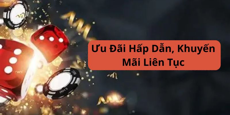 uu-dai-hap-dan